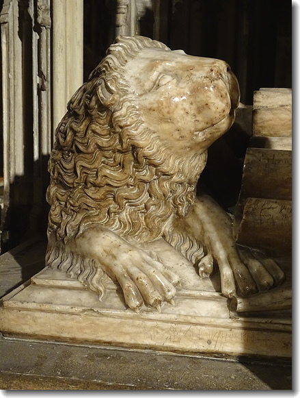 lion