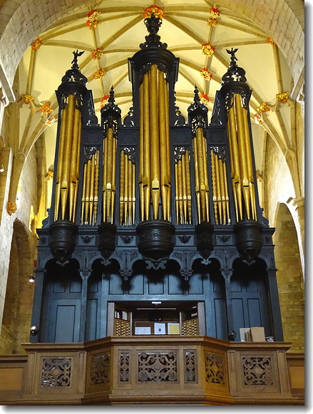 organ