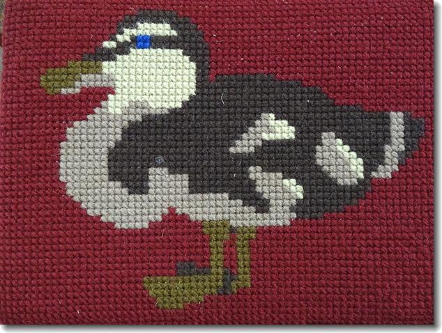 duck