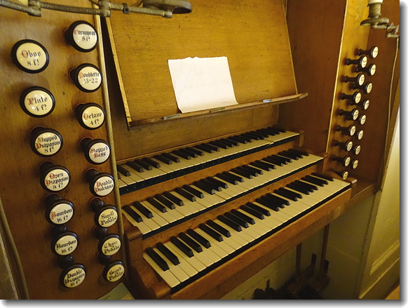 organ