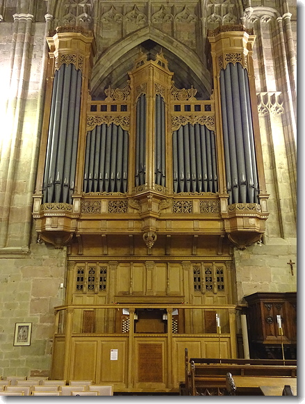 organ