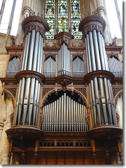 organ