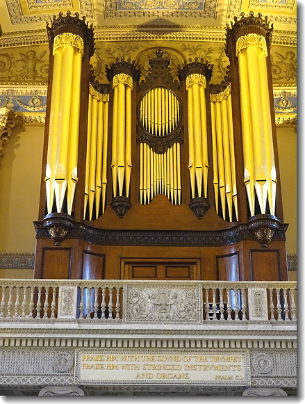 organ
