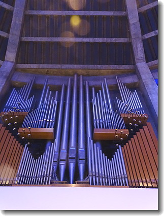 organ