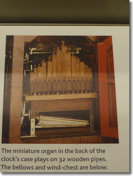organ clock