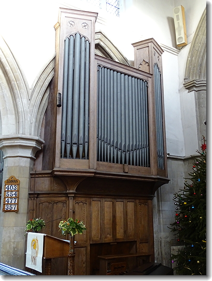 organ