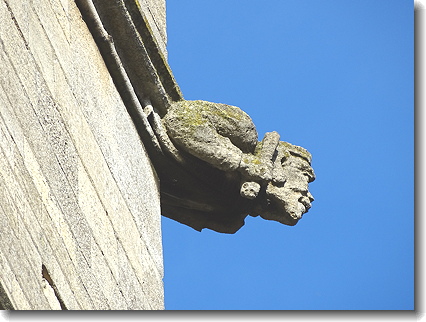 gargoyle