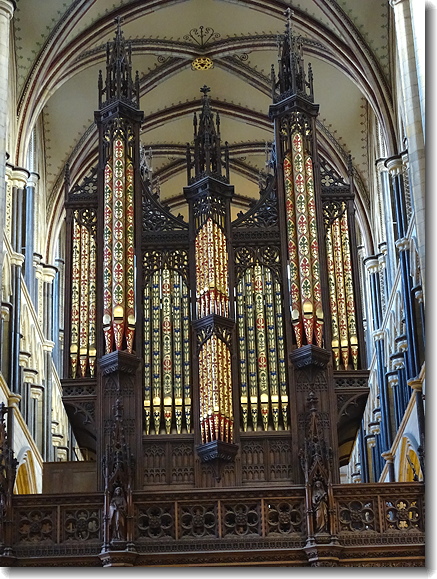 organ