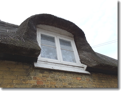 thatch