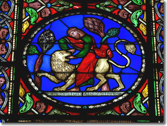 lion