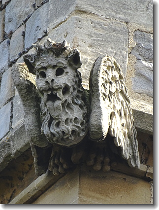 gargoyle