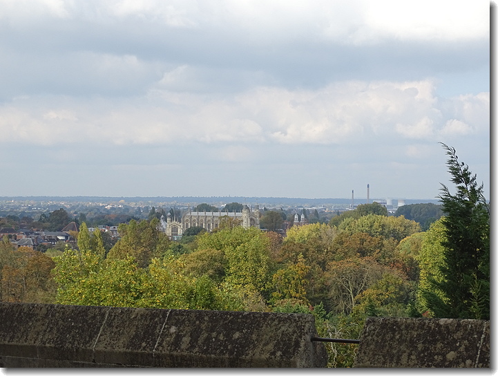 view