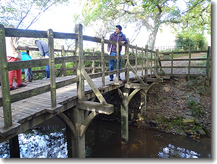 bridge