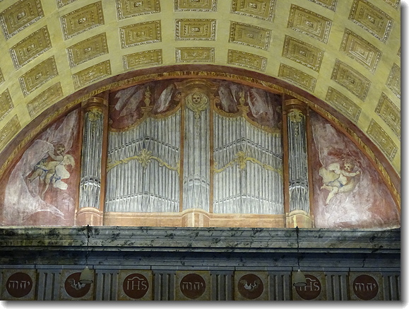 organ mural