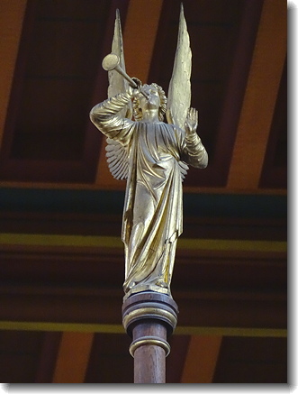 organ angel