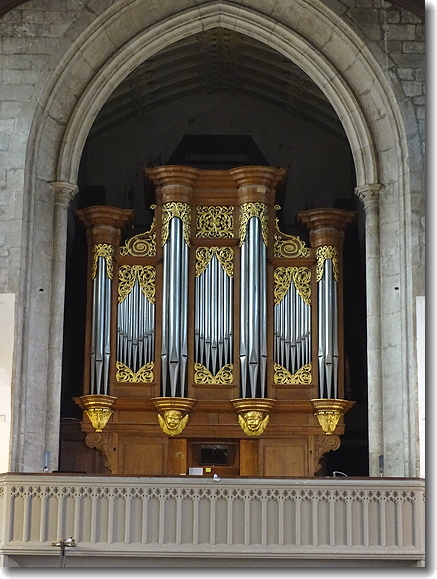organ