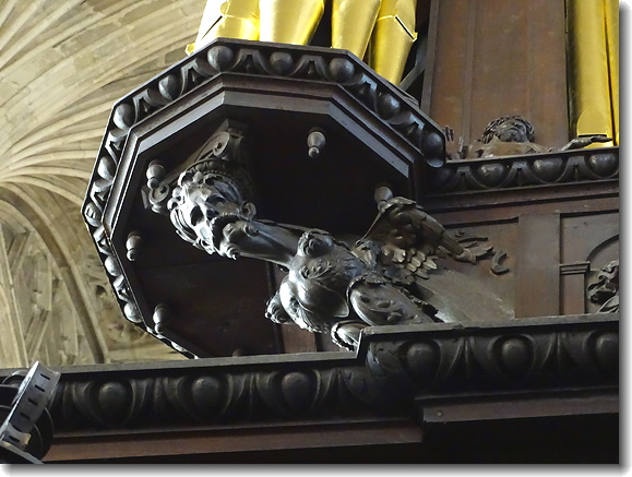 organ carving