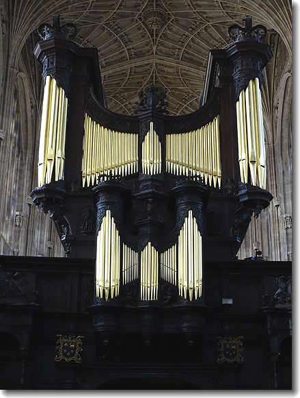 organ
