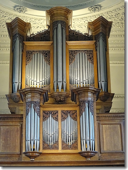 organ