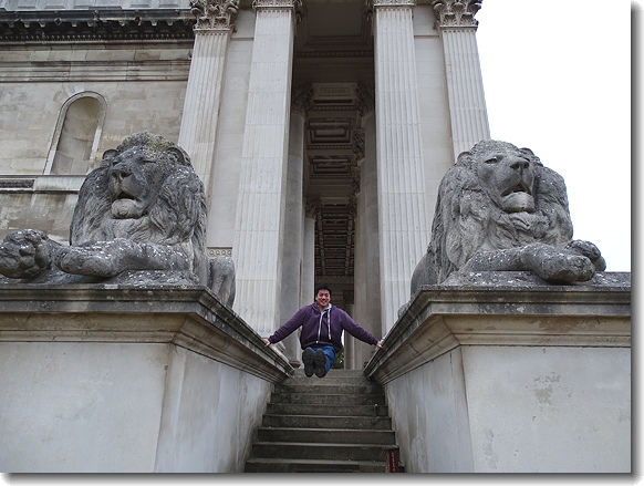 lions