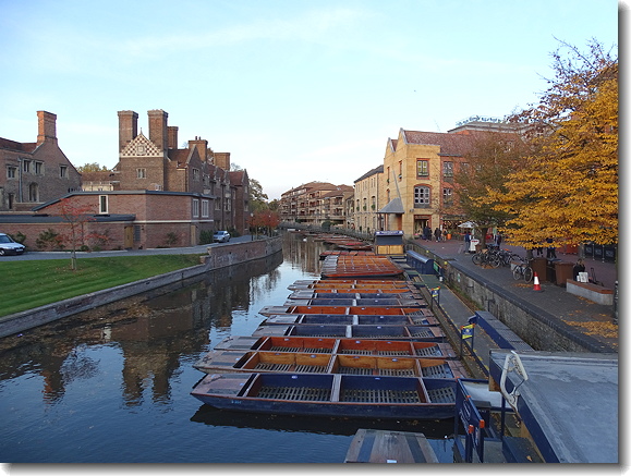 punts