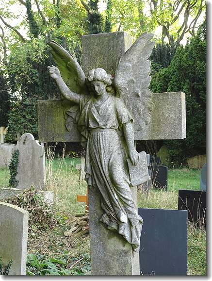 angel