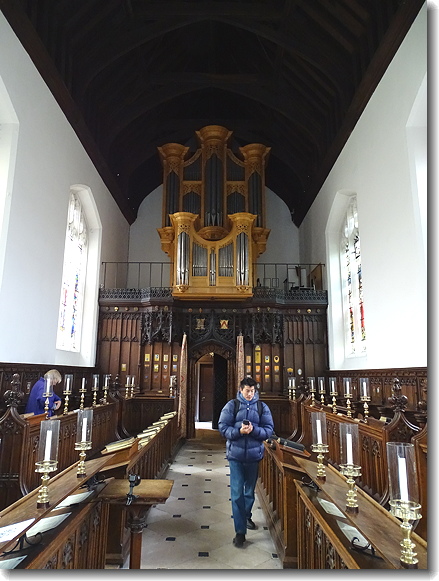 organ