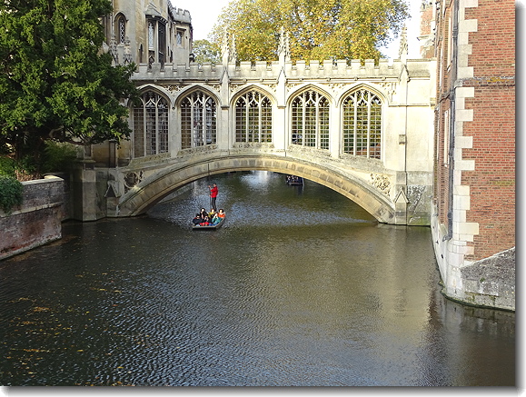 bridge