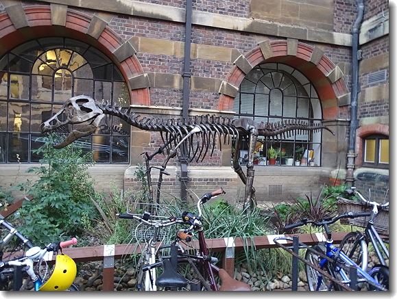 Sedgwick
        Dinosaur