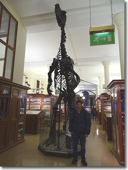 iguanadon