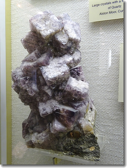 turkish
        delight