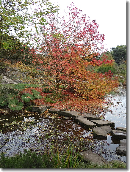 colour