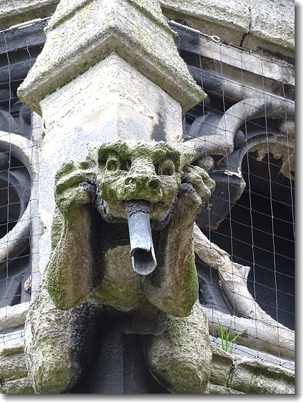 gargoyle