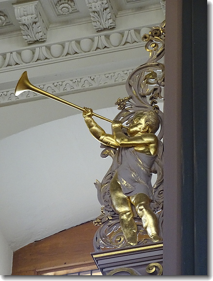 organ detail
