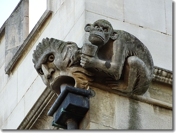gargoyle