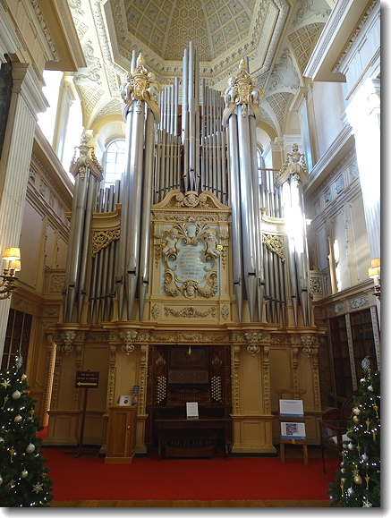 organ