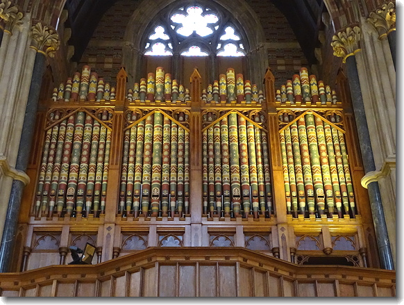 organ