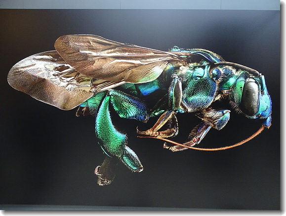 microsculpture