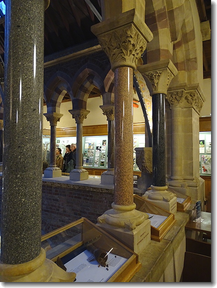 column