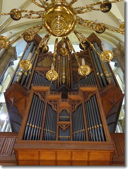 The Organ