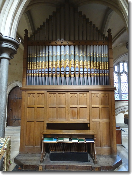 organ