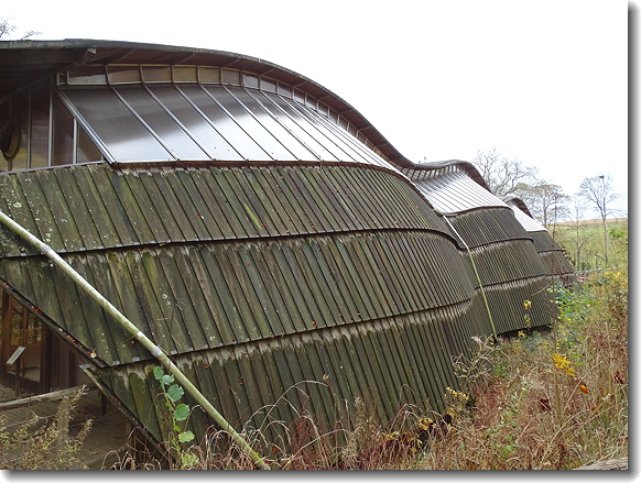 grid shell building