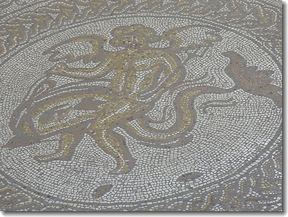 detail
