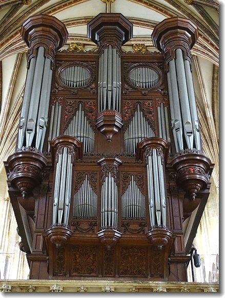 organ