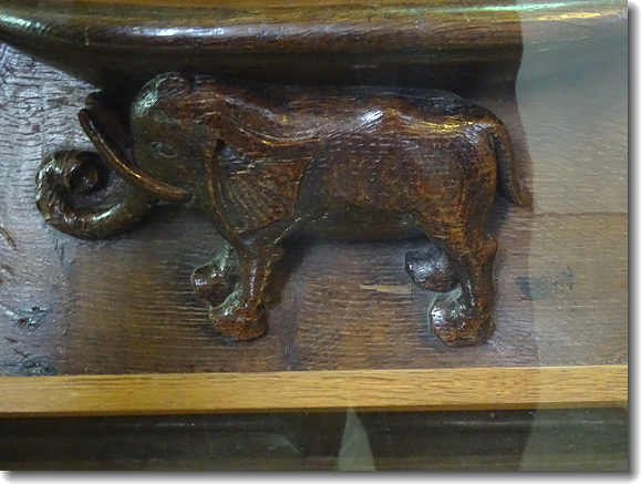 elephant