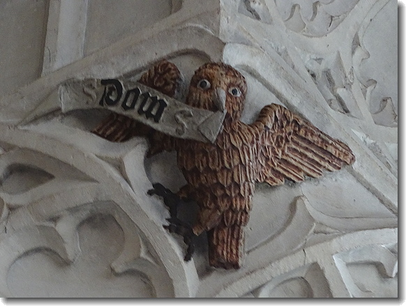 owl