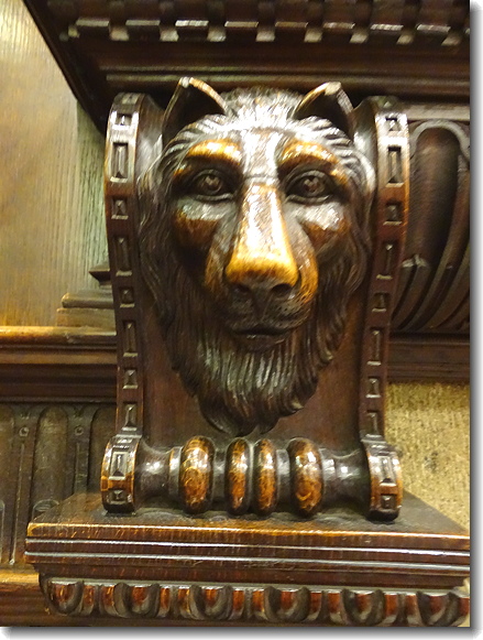 lion