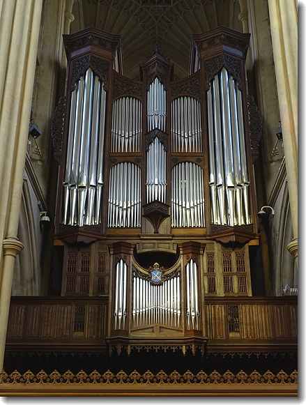 organ