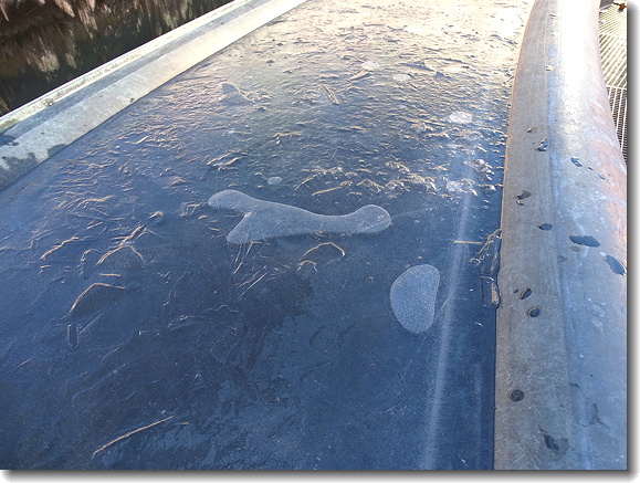 ice