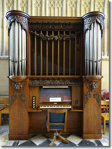 organ